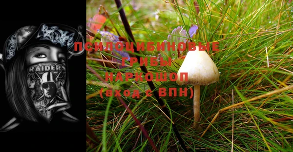 марки nbome Алексин