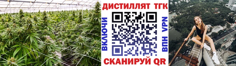 купить закладку  Новочеркасск  кракен ссылки  Дистиллят ТГК жижа 