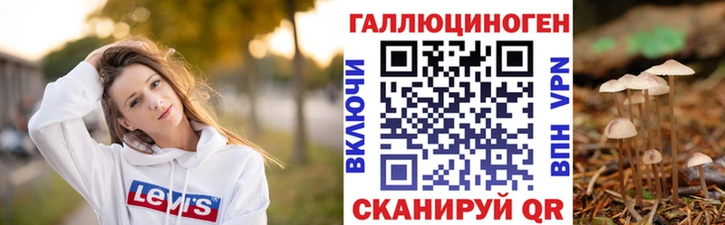 Псилоцибиновые грибы Psilocybe Новочеркасск